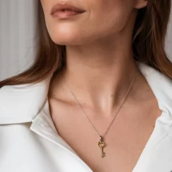 COLLIER CLÉ 2 TONS -Mode Bijoux Boutique resizedPt 17df67628bb89193838f83015a3e7d30