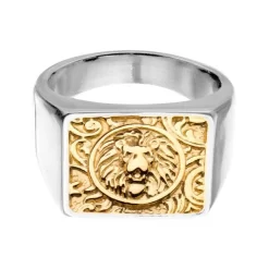 BAGUE LION DE NÉMÉE -Mode Bijoux Boutique resizedPt 6475c86edecfca8facb9f54b3b7ecac9 1