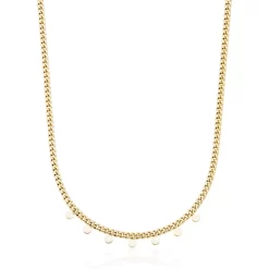 COLLIER À BRELOQUE DISQUE STEELX SUR CHAÎNE GOURMETTE AVEC PLACAGE OR IP 3 COLLIER À BRELOQUE DISQUE STEELX SUR CHAÎNE GOURMETTE AVEC PLACAGE OR IP -Mode Bijoux Boutique resizedPt 8ee3592d7d251e3f7fe4da469785592b 1