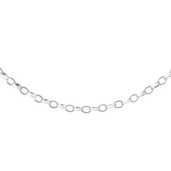 Thomas Sabo TS CHAINE ARG FORME OVAL 45CM -Mode Bijoux Boutique resizedPt dba132f6ab6a3e3d17a8d59e82105f4c